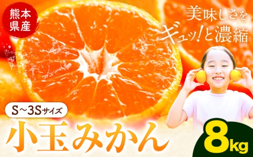 先行予約 小玉みかん 8kg 旬 みかん《9月下旬-12月下旬頃出荷》熊本県 南関町 ご家庭用 熊本県産 S-3Sサイズ フルーツ 柑橘 温州みかん 早生 中生 晩生 ジュース ゼリー 訳あり 小玉 熊本