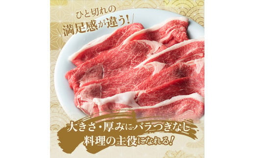 京都府産黒毛和牛（亀岡牛・京の肉・京都肉・丹波産）切り落とし500g