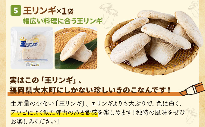 大木町きのこ食べつくしセット AZ03