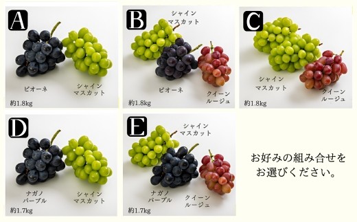 人気品種の中からお好みのものをお選びください！