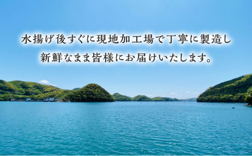 対馬産　西のとろあなご　にぎり寿司　3PAC《対馬市》【対馬水産】 新鮮 冷凍 寿司 名物 時短 簡単調理 穴子 穴子寿司 あなご 海鮮 魚介 すし 希少 [WAV013]