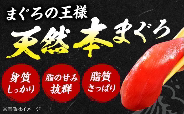 魚介類 海鮮丼 本マグロ 本まぐろ 本鮪 中とろ 中トロ 冷凍 お刺身 お寿司