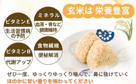 【定期便6回】 自然栽培米 玄米 ＜令和7年産 2kg ＞ ／ ふるさと納税 無農薬 米 お米 一等米 こめ コメ 国産 新米 玄米 農家やまおか 奈良県 宇陀市