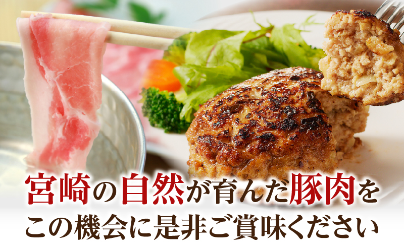 【2週間以内発送】≪宮崎県産≫豚肉6種＼てげスゲーセット／合計4.5kg 肉 豚 豚肉 おかず 国産_T009-032-2W【人気 ギフト 食品 お肉 しゃぶしゃぶ 贈り物 お土産 送料無料 プレゼン