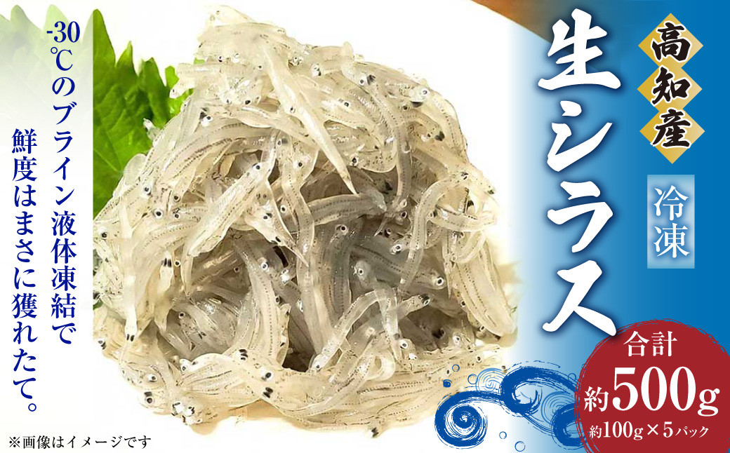 
高知産「生シラス」イワシ稚魚 約100gx5パック（タレ付）
