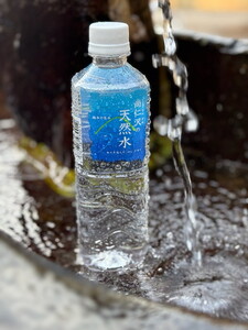 【2ヶ月定期便】＼名水百選認定／尚仁沢の天然水 500ml×24本｜塩谷町 栃木県 軟水 湧水  天然水  ペットボトル