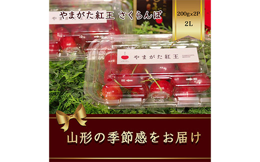 やまがた紅王 さくらんぼ2Ｌ200g×2パック入 【2025年6月から発送】 FSY-1166