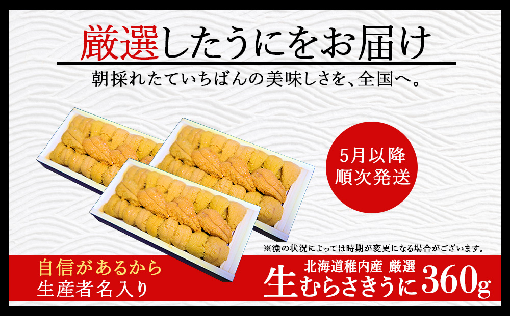 美味しいウニは昆布の名産地にあり!生むらさきうに360g