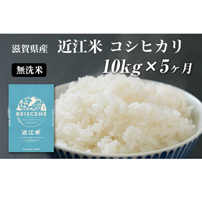 【ふるさと納税】【12月～1月までの限定寄附額】 定期便 10kg×5ヶ月 コシヒカリ 無洗米 近江米 令和7年産 米　お届け：ご入金の翌月中旬に出荷いたします