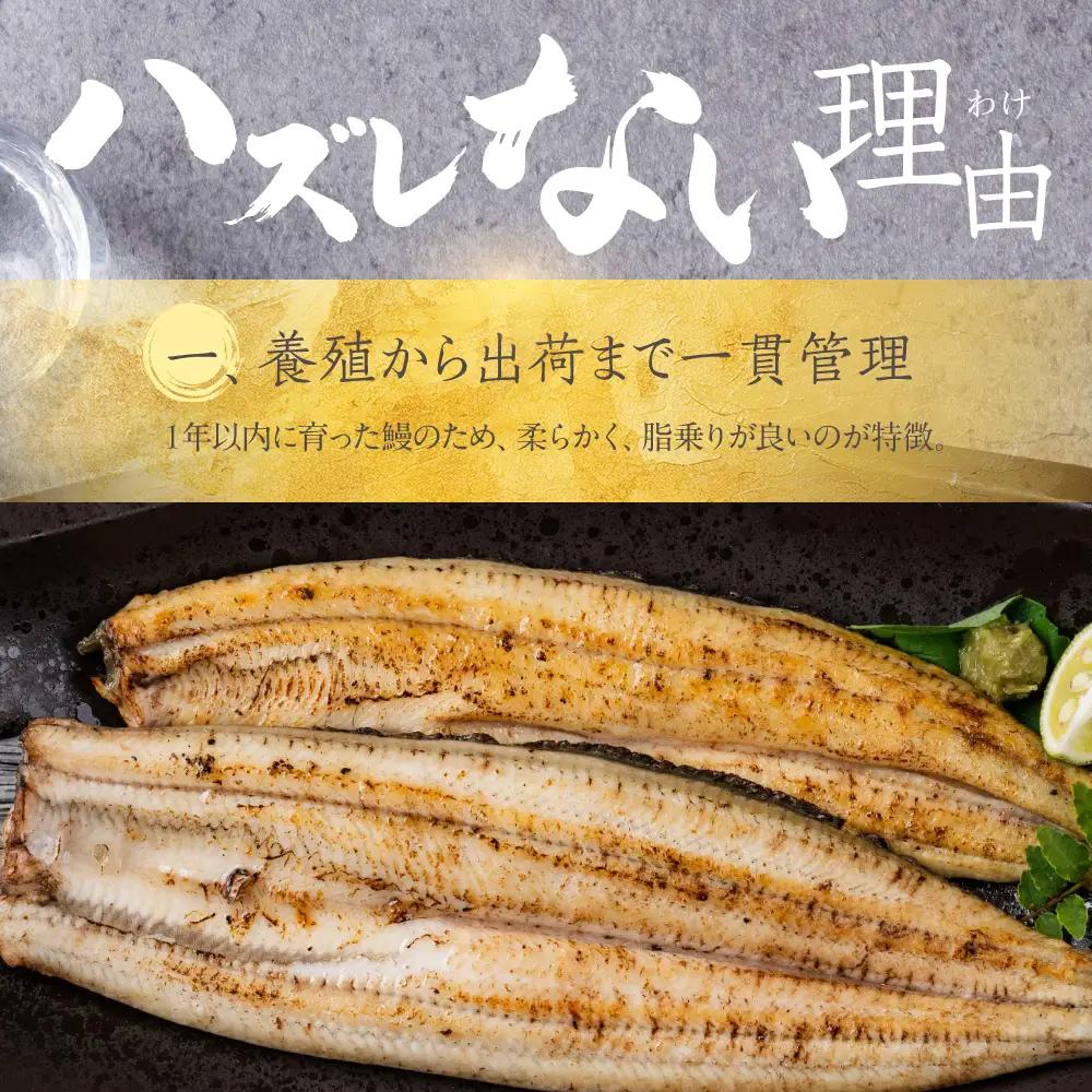 国産うなぎ 白焼き 1尾 計120g うなぎ 丸和養魚場