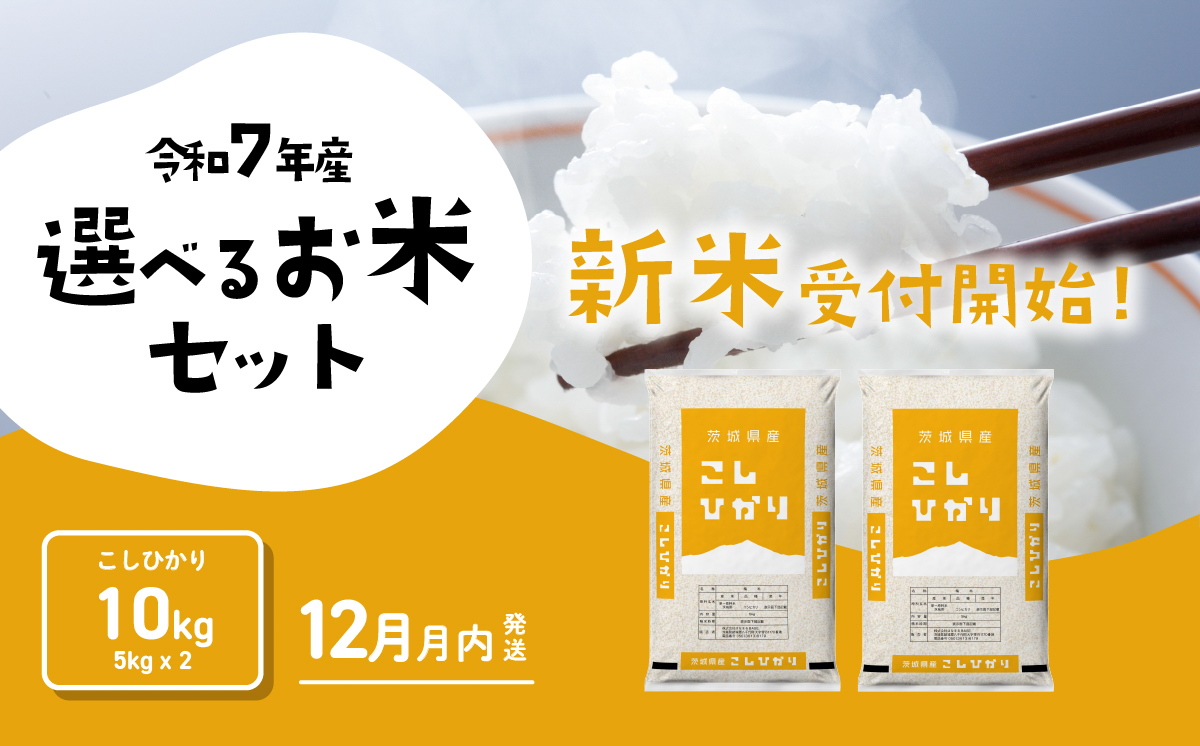 【12月発送】コシヒカリ 10kg 令和7年産 新米 茨城県産 白米 精米 茨城県 お米 米 [SF327yai]