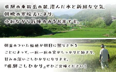 【定期便 6ヶ月】（全6回）令和7年産 飛騨産コシヒカリ 「飛騨の米」  白米（玄米対応可）5kg |  飛騨産 こしひかり 精米 節減農薬米 のし対応 飛騨高山 ファームジネンいいむら GG104