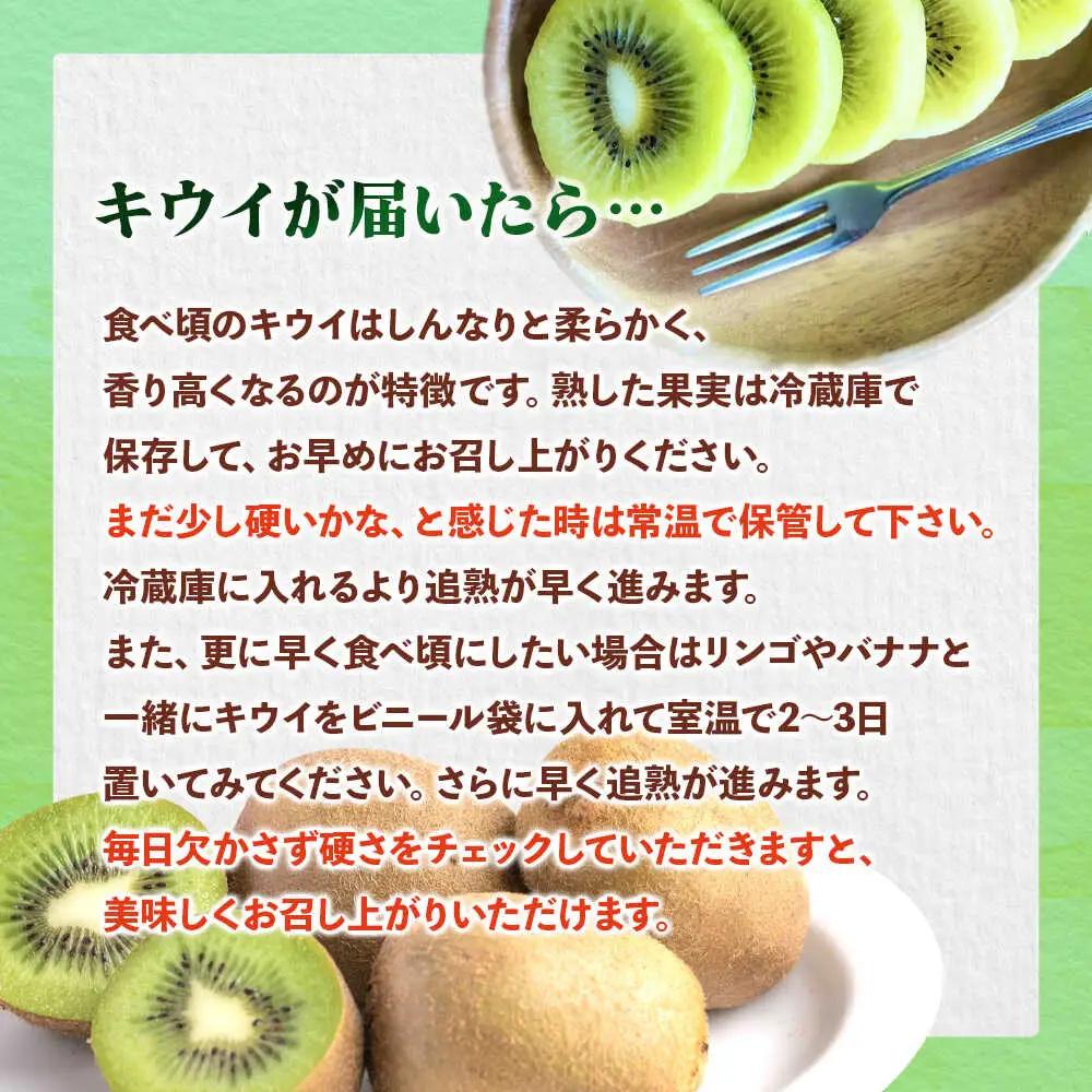 福岡限定品種キウイ「甘うぃ」約1.3kg-約1.5kg／2026年11月頃より発送予定 桂川町/一般社団法人地域商社ふるさぽ[ADCF013]
