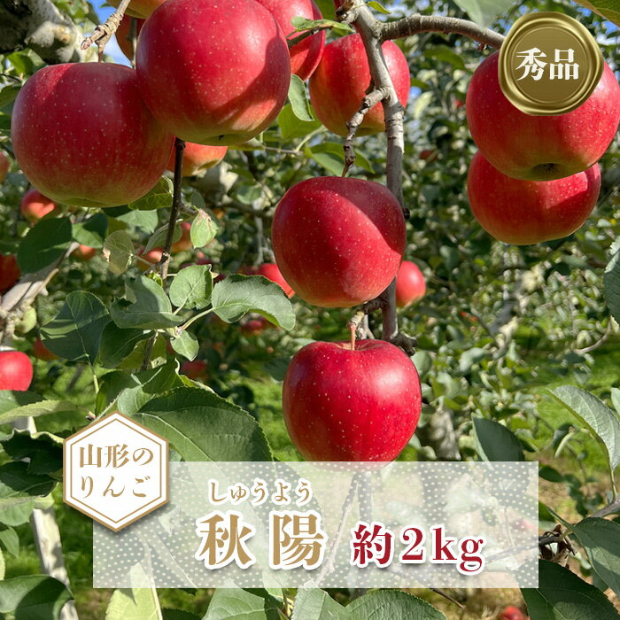 【ふるさと納税】 ＜ 2025年 発送＞「秀品」山形のりんご（秋陽）約2kg 【10月発送】 りんご 秋陽 2kg 山形県 山形 令和7年度 R7 ふるさと 人気 ランキング フルーツ 果物 _H214(R7)