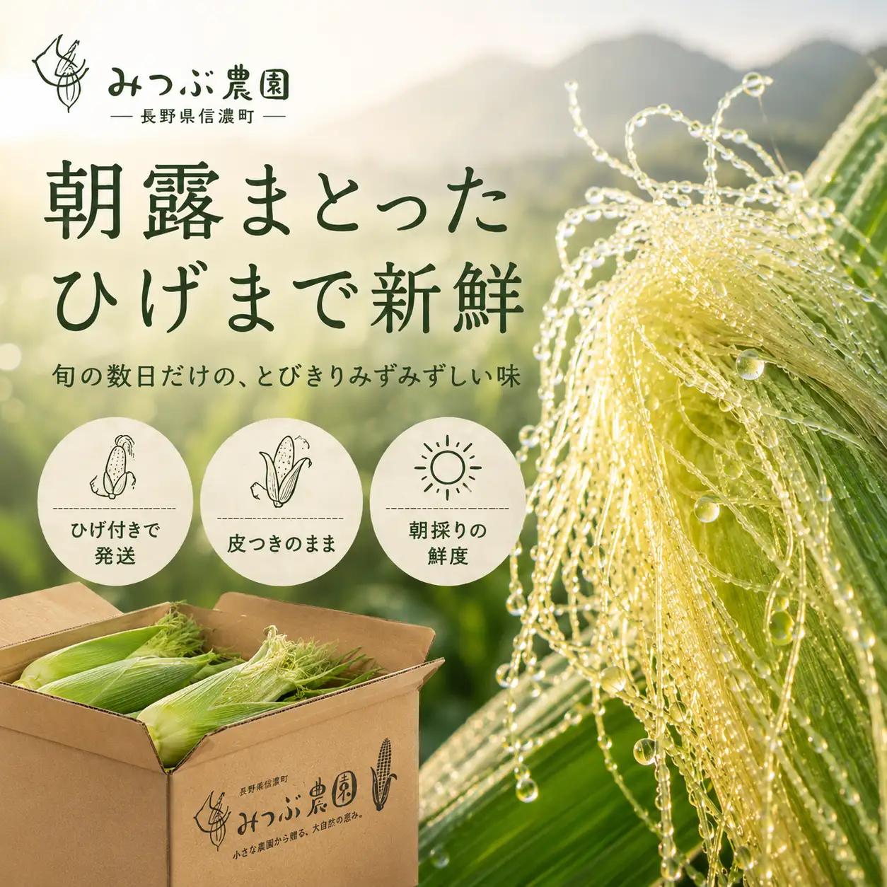 【令８年７月７日迄】朝採れヤングコーン20本｜ひげまで甘い！自然循環農法で育んだ旬を直送