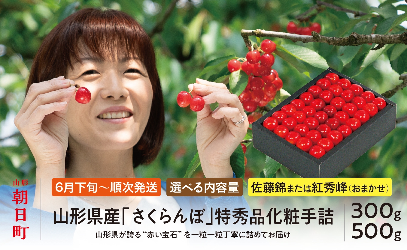 
                  ＜ 先行予約 ＞ 山形県産 さくらんぼ （ 佐藤錦 ・ 紅秀峰 ） 特秀品 化粧手詰 選べる容量 ( L 300g ・ L 500g ・ 2L 300g ・ 2L 500g )【2026年6月中旬から順次発送】 山形県 果物 サクランボ フルーツ 高級 贈り物 贈答 ギフト 初夏 夏 送料無料
                