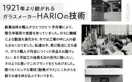 HARIO ネックレス シズク HANS-SZ-N-NF｜ HARIO ハリオ_FU19 