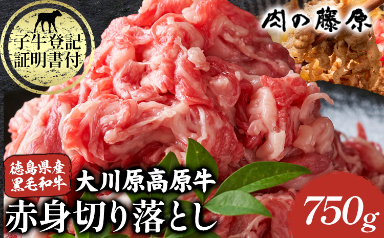【年間10頭！】大川原高原牛 赤身切り落とし 750g 肉の藤原《30日以内に出荷予定(土日祝除く)》和牛 希少 大川原高原 牛肉 赤身 もも肉 贅沢 あっさり 炒め物 煮物 肉じゃが すき焼き 牛丼 弁当 レシピ 手軽 冷凍 ギフト 贈答 s-23