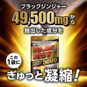 ブラックジンジャー サプリメント フラムジンジャー 機能性表示食品 6袋セット