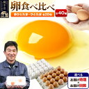 【ふるさと納税】赤ひとたま 20個・ひとたま 20個 計40個（業務用）【選べる開始時期×お届け回数（定期便）】