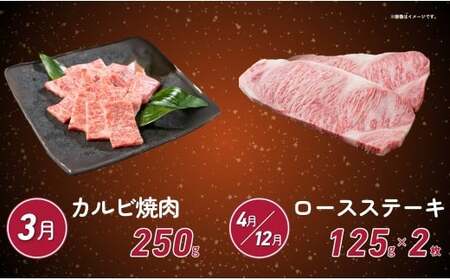 【佐賀牛定期便！12ヶ月連続お届け☆】佐賀からおとりよせ定期便 12回コース【有田まちづくり公社】佐賀牛 牛肉 黒毛和牛 極上の佐賀牛 厳選 お肉 おにく しゃぶしゃぶ ローストビーフ カルビ ヒレス