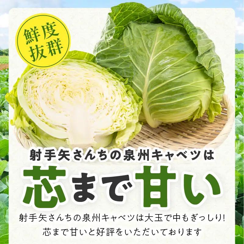 【先行予約】射手矢さんちの泉州キャベツ 5kg