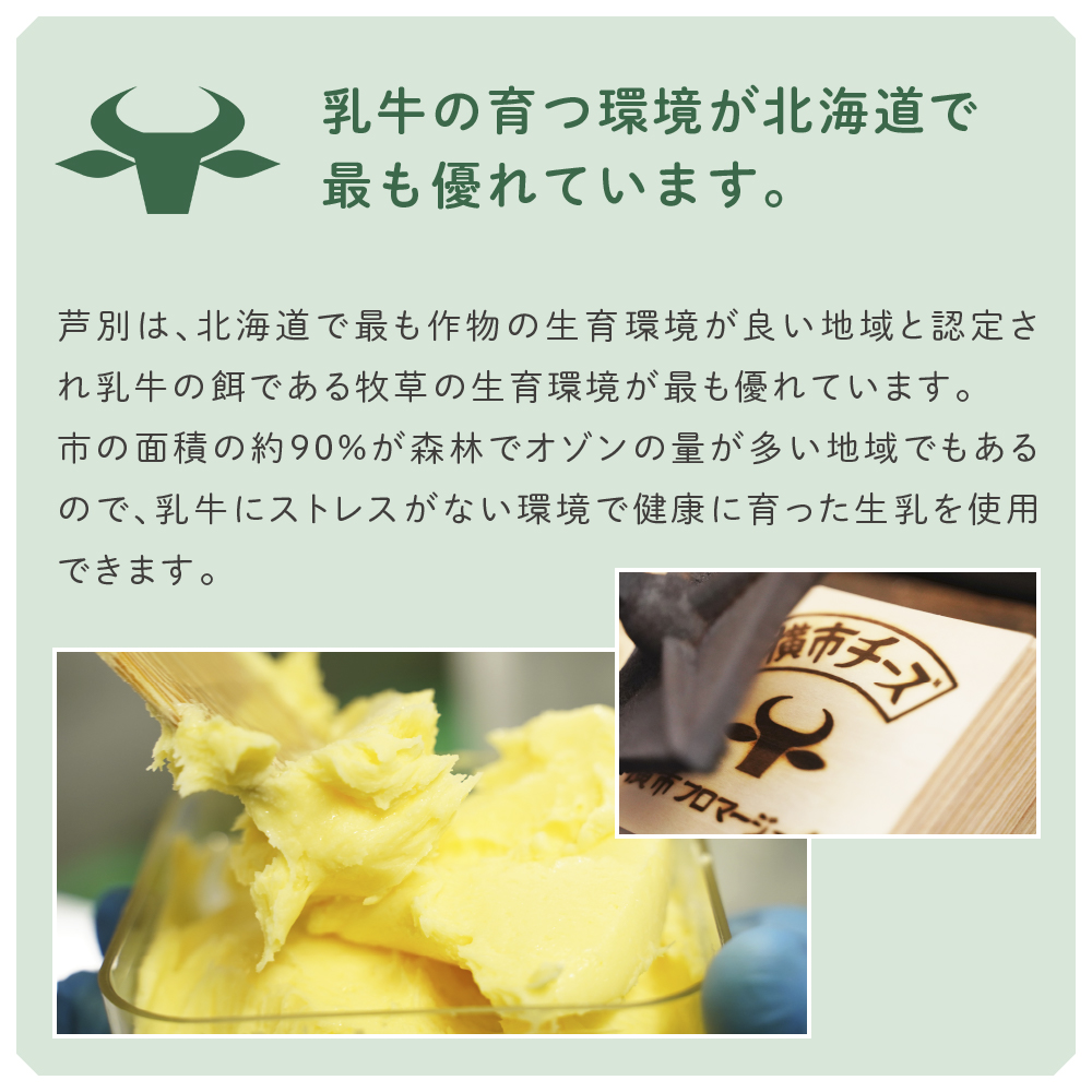 冷凍ヨーグルトチーズ 6個 横市フロマージュ 冷凍 ヨーグルトチーズ ヨーグルト チーズ 乳製品 濃厚 北海道 芦別市