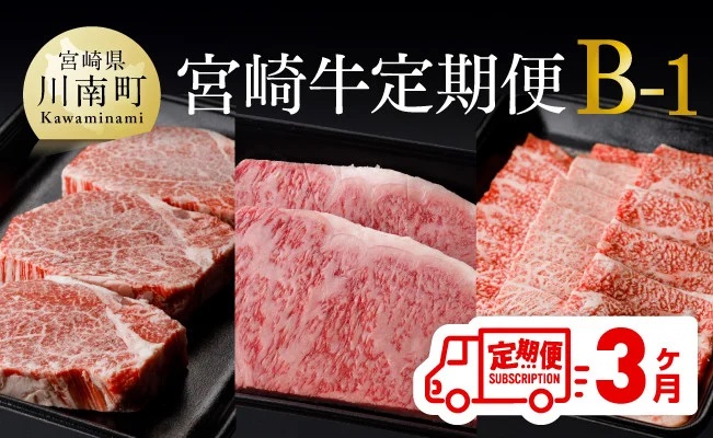 【定期便】宮崎牛３ヶ月定期便Ｂ‐１　肉牛牛肉国産牛肉九州産牛肉宮崎県産牛肉牛肉黒毛和牛ミヤチク牛肉全3回牛肉送料無料牛肉 [D0674t31]