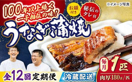【12回定期便】国産 うなぎ 1匹＜入口屋＞ [CCA028] うなぎ うなぎ 鰻 うなぎ うなぎ 鰻 うなぎ うなぎ