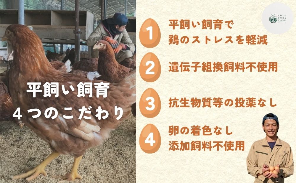 【毎月定期便／12ヶ月】平飼い飛鳥の卵 40個／ 卵 たまご 玉子 生卵 鶏卵 生たまご たまごかけごはん 卵焼き 目玉焼き 冷蔵 チルド 古都風雅ファーム 奈良県 宇陀市 ふるさと納税