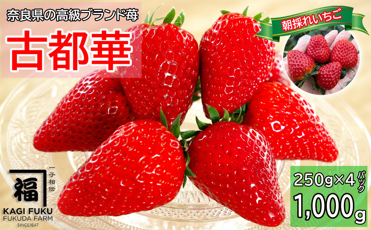 
            CA-10.【数量限定】サイズおまかせ 古都華4パック
          