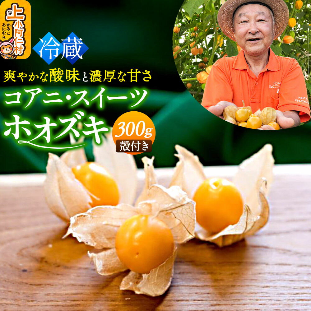 【ふるさと納税】【9月下旬〜10月中旬発送】《冷蔵》コアニ・スイーツホオズキ 300g（150g×2パック） 殻付き 生食用 ほおずき ゴールデンベリー スーパーフード たじゅうろう農園【先行予約】 [ほおずき ホオズキ 生食用ほおずき]