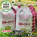 【ふるさと納税】 信州飯綱町産 ミルキークイーン 5kg 【 3カ月 定期便 】 なかまた農園 【 米 新米 精米 白米 3回 信州 長野 五キロ 】【令和6年度収穫分】発送：2024年10月上旬〜 [お届け3回 (**)]