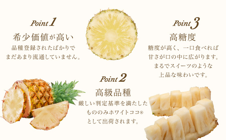 先行予約 パイナップル 沖縄 ホワイトココ(R) 3kg 2～3玉 2024年 発送 新品種 希少 パイン ココナッツに似た香り 果物 フルーツ デザート