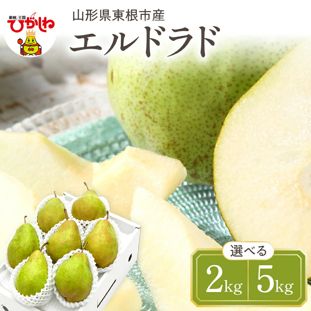 【ふるさと納税】【令和7年産 先行予約】 西洋梨 エルドラド ( 選べる内容量 : 2kg / 5kg ) 秀品 化粧箱入り / 洋なし 洋梨 洋ナシ フルーツ 果物 くだもの 化粧箱 期間限定 産地直産 ご当地 お取り寄せグルメ 送料無料 国産 東北 山形県 東根市