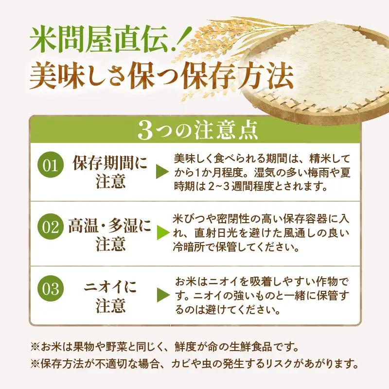 【令和7年産米】 2026年9月後半発送 はえぬき 10kg はえぬき
