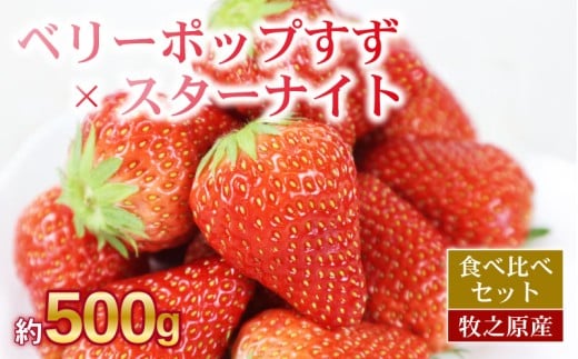 【先行予約】ベリーポップすず ＆ スターナイト 計500g いちご 食べ比べ ギフト 産地直送 朝採り スイーツ フルーツ 果物 大粒 完熟  イチゴ 苺 ストロベリー ベリー 新鮮 国産 2パック デザー おいしい 贈り物 果物 ストロベリー 甘い 朝摘み おやつ 完熟 直送 ギフト 贈答用 贈答 ギフト ビタミン ベリー 産地直送 国産 おすすめ 静岡 県 牧之原 市 極美屋 KIWAMIYA