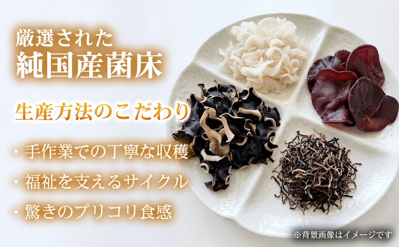 【定期便2ヶ月】【希少な白きくらげの旨みを手軽に】白い乾燥きくらげ（パウダー）(40g×3袋） 1セット 白きくらげ 粉末 乾燥きくらげ パウダー スライス ホール 国産 詰め合わせ 食物繊維豊富 料