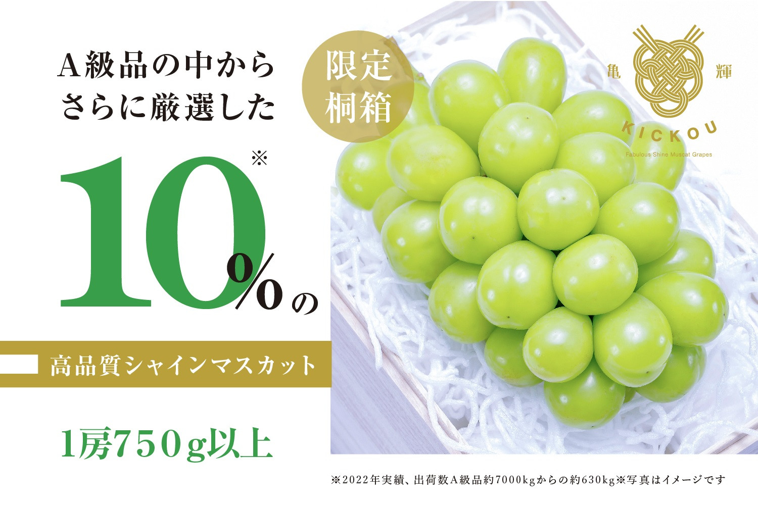 
            「亀輝」最高級シャインマスカット1房750g以上【限定桐箱入り】【2025年発送】（RO）D-123 【亀輝 シャインマスカット 葡萄 ぶどう ブドウ 令和7年発送 期間限定 山梨県産 甲州市 フルーツ 果物】
          