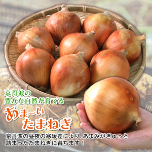 【京都府産】玉ねぎ 10㎏