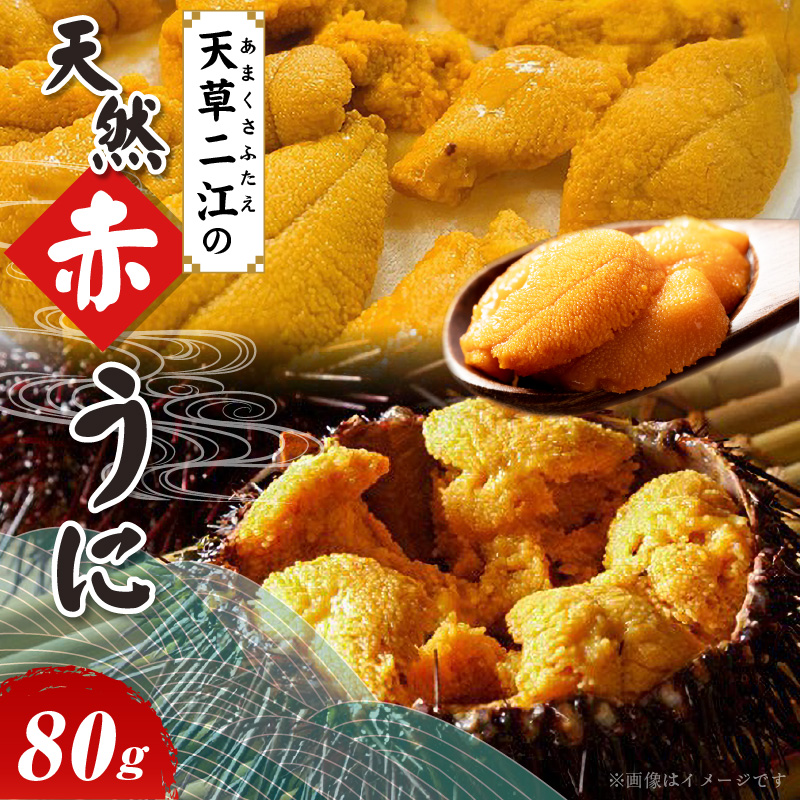 S157-005_天草二江の天然赤うに 80g