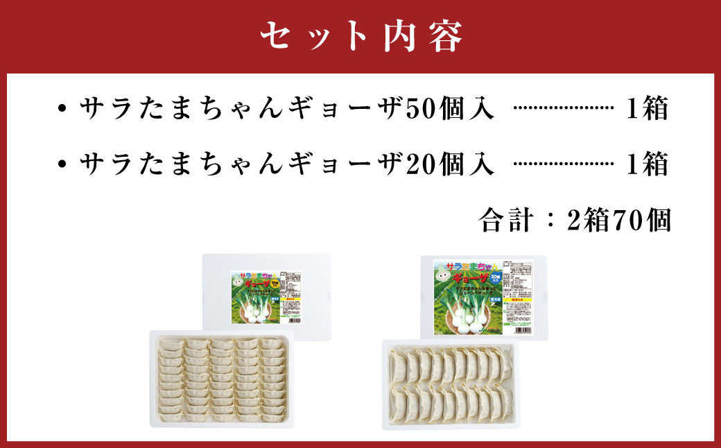 サラたまちゃん ギョーザ 計70個 冷凍