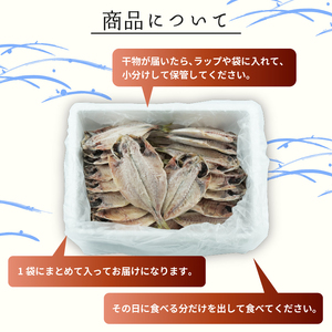 訳あり 高級 あじ 干物 約2kg 沼津 晩酌 おつまみ おかず 朝食 鯵 干物 ひもの 規格外 干物 ひもの 不揃い 干物 ひもの 干物 ひもの 干物 ひもの 干物 ひもの 干物 ひもの 干物 ひも