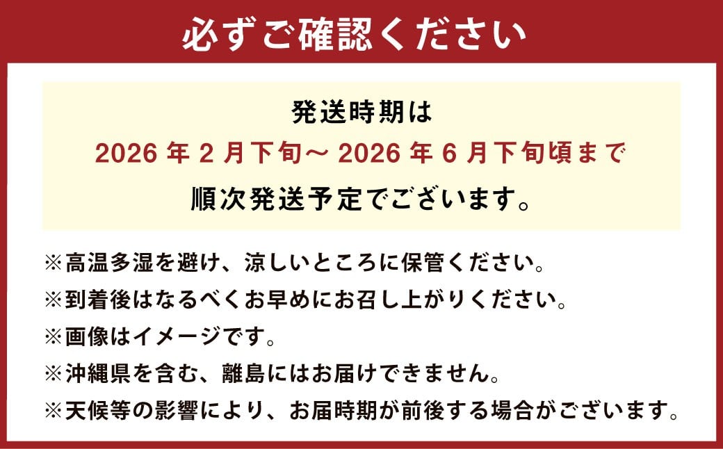 夕焼けブラッドオレンジ 訳あり 5kg