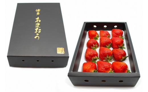 【2026年12月発送】博多あまおうEX　贈答化粧箱450g×2箱[H2248]