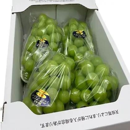 ぶどう 2026年 先行予約 シャイン マスカット 晴王 3～5房 2kg前後  岡山県産 シャインマスカット