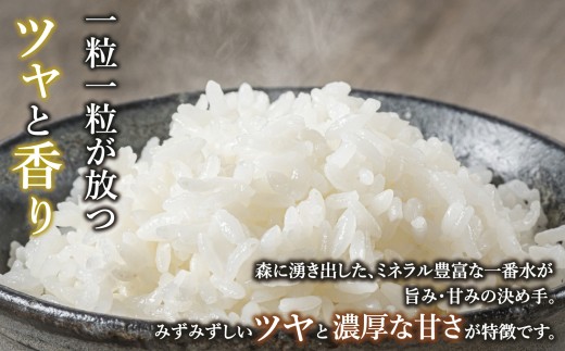 《新米》ササニシキ「七〇八米（なおやまい）」 精米 5kg  《2026年10月中旬より出荷》お米 コメ 白米 ご飯 長野県 信州 飯山市 令和7年 ささにしき 産地直送 農家直送 無農薬 (By-011)