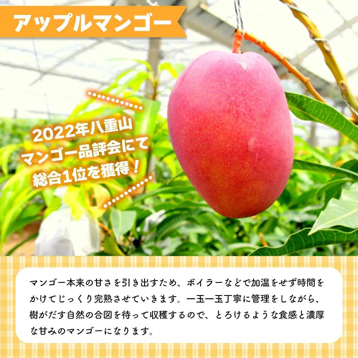 アップルマンゴー 約2kg 