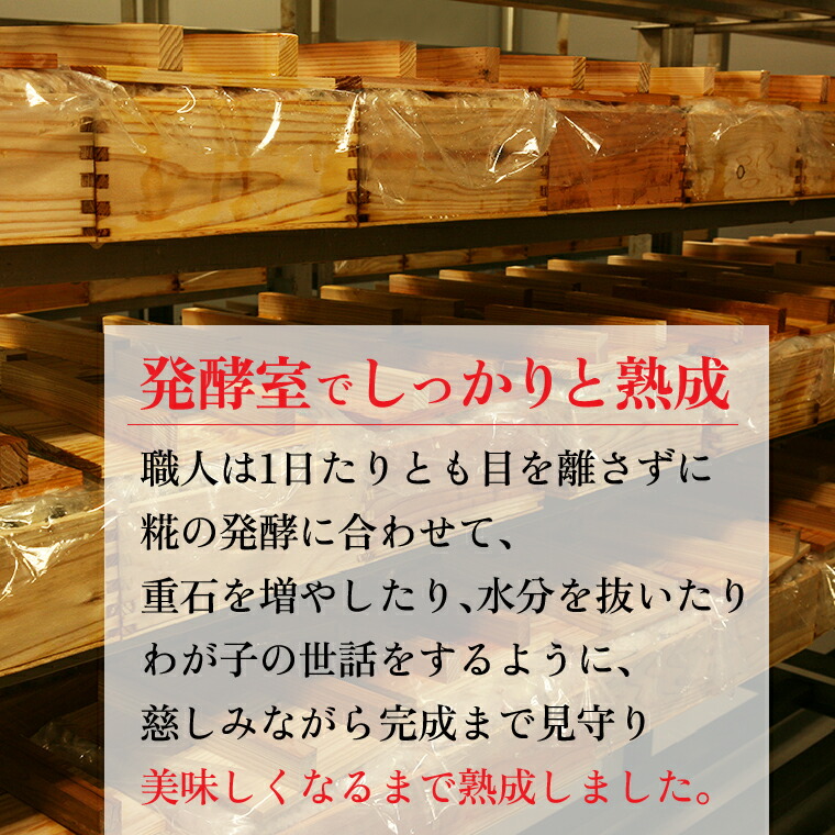 紅鮭飯寿司 900g（450g×2）｜佐藤水産 さけ 鮨 北海道 石狩市