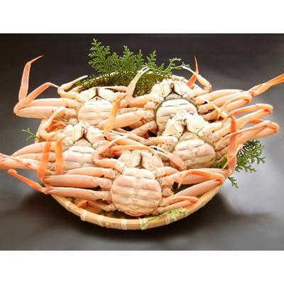 ふるさと納税 新温泉町 松葉ガニの本場　訳あり・釜茹でセコガニ(冷蔵)中サイズ　5枚　兵庫県新温泉町　 |  | 01